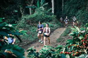 BIB: 
                            <button type="button" onclick="openModal(25793576)" class="btn btn-primary btn-sm float-right btn-popup" data-toggle="modal" data-target=".modal-high-quality">
                        <i class="fas fa-shopping-cart"></i> Add to Cart
                    </button>
                                            <button type="button" onclick="isThisMe(25793576, true)" class="btn btn-success btn-sm float-right btn-popup btn-isme hidden" data-toggle="tooltip" data-placement="bottom" title="นี่คือรูปของคุณใช่ไหม คลิกที่นี่เพื่อเอาเข้าอัลบั้ม">
                        <i class="fas fa-plus"></i> Add to album
                    </button>
                    <button type="button" onclick="isThisMe(25793576, false)" class="btn btn-warning btn-sm float-right btn-popup btn-isnotme hidden">
                        <i class="fas fa-ban"></i> Remove from album
                    </button>